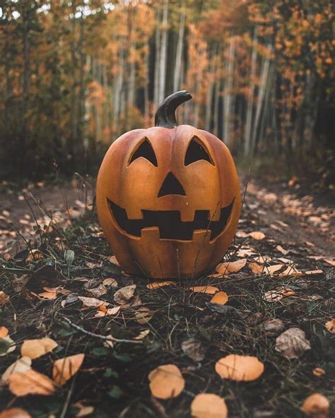 Fall🍂🍁🎃 on Instagram: “Are you going to carve a pumpkin this year?🎃” in 2020 | Fall halloween ...