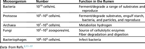 Concentration and function of microorganisms in the rumen | Download Table