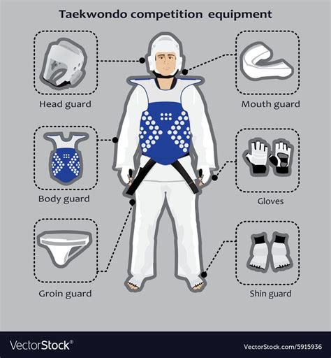 Taekwondo sport competition equipment vector image on VectorStock | Taekwondo techniques, Korean ...