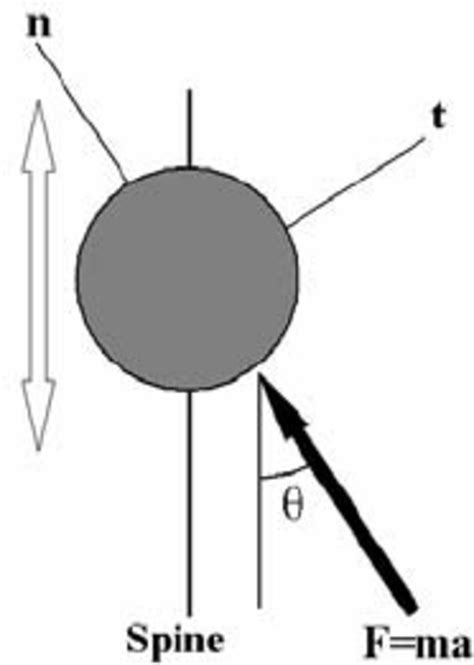 Free body diagram of a ball. | Download Scientific Diagram