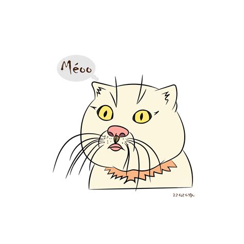 Cat Meme Funny Laughing Cartoon Vector, Cat Drawing, Car Drawing, Cartoon Drawing PNG and Vector ...
