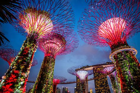 Marina Bay Garden Singapore Night Royalty-Free Stock Photo