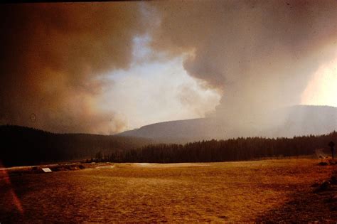 Former fire behavior analyst shares photos from the Yellowstone fires ...