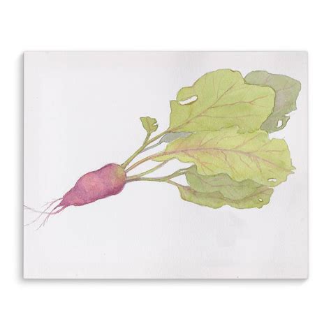 RED RADISH Canvas Art By Kavka Designs - Bed Bath & Beyond - 30755305