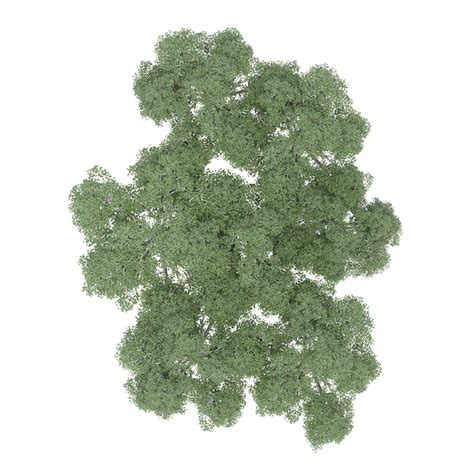 Premium Photo | Group of trees, top view, isolated on white background, 3D illustration, cg render