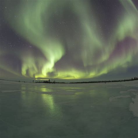 Alaska Cruises to See the Northern Lights | USA Today