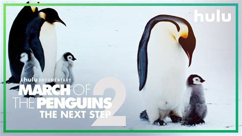 March of the Penguins 2 (Official Trailer) • Only on Hulu | March of ...