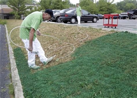 Lawn turning brown? Call the turf painters