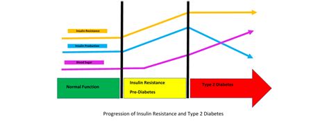 INSULIN RESISTANCE TESTING