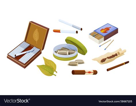 Collection tobacco products set different Vector Image