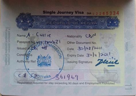 ETA Kenya: the formality that replaces the visa