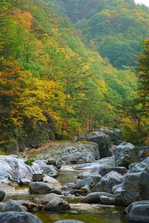 Autumn In Korea 2024 | 48 Exceptional Places To See Breathtaking Fall ...