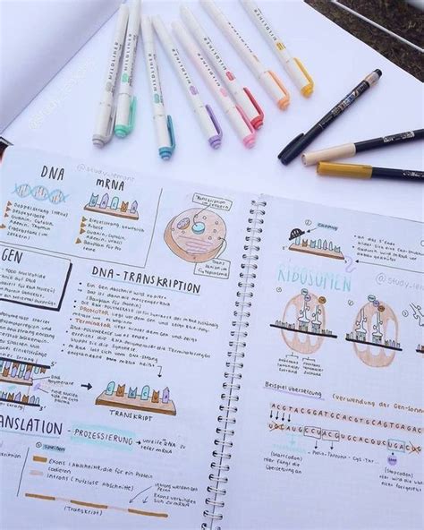 Must Have Stationery Supplies For Note Taking - StudyStuff