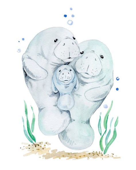 Manatee Family Watercolor, Original Watercolor Print, Nursery Wall Art ...