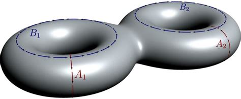 The homology basis at genus two. | Download Scientific Diagram