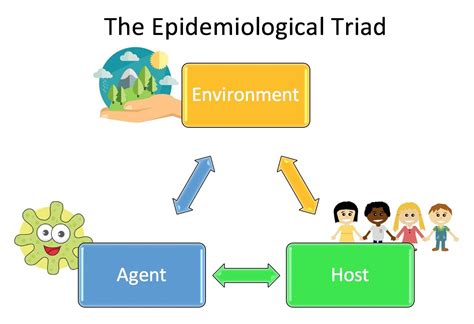 Chapter 12: The Epidemiological Triad | Models and Mechanisms of Public ...