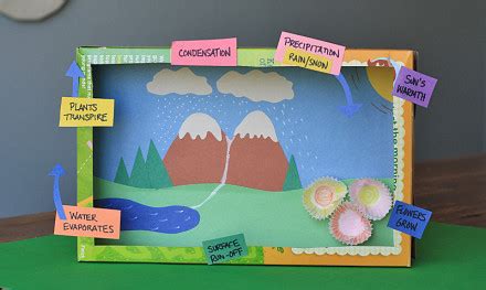 Water Cycle Diorama Materials