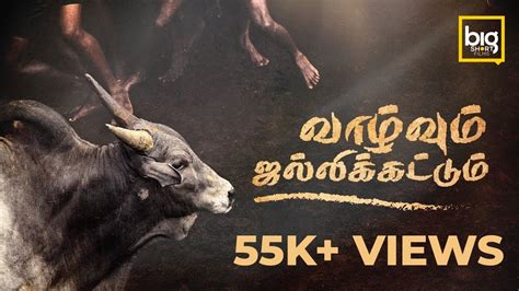 LIFE AND JALLIKATTU - A short documentary on Jallikattu and the livelihood attached to it - YouTube