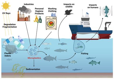 Nutrients | Free Full-Text | Microplastics: A Real Global Threat for Environment and Food Safety ...