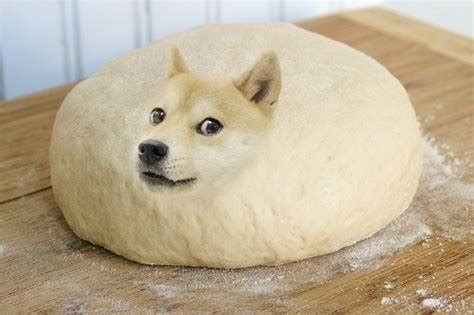 Doge Dough Blank Template - Imgflip