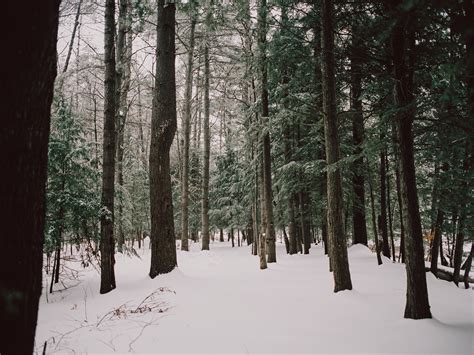 winter in lake placid — Kelly Smith Photography