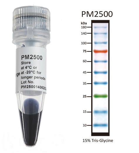 Bio Rad Protein Marker