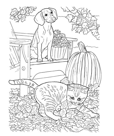 Real Cat Coloring Pages