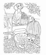 Detailed Dog Coloring Pages sketch template