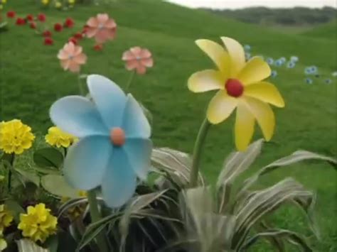 Image - 2 flowers.PNG | Teletubbies Wiki | FANDOM powered by Wikia