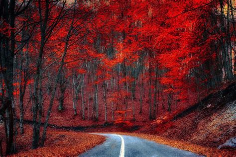 Red Road – Print A Wallpaper