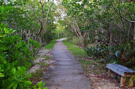 Bike Trails in Miami, Hiking Too: MiamiCurated