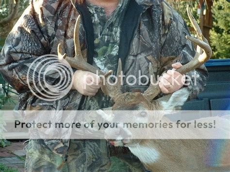 Best Hunting In Tennessee? - Hunting and Fishing - TNGunOwners.com