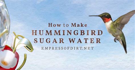 How to Make Hummingbird Food (Sugar Water Recipe)