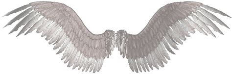 Download Transparent Eagle Wings Clipart - Transparent Background Angel ...