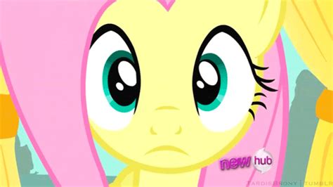 Whos Fault was it, Fluttershy Or Iron Will? - MLP:FiM Canon Discussion - MLP Forums