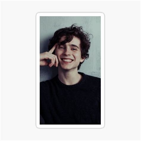 "timothee chalamet smiling" Sticker for Sale by aesthetic--art | Redbubble