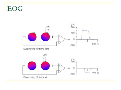 PPT - The Electrooculogram EOG PowerPoint Presentation, free download - ID:6737433