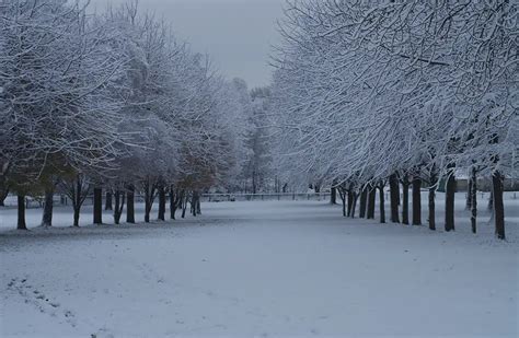 Gallery: Scenery and Nature Landscape – Swanley Park