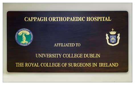 NATIONAL ORTHOPAEDIC HOSPITAL CAPPAGH | Signs Logos | Gold Leaf Gilding Specialist Dublin Ireland