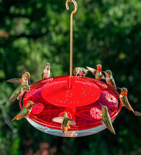 Hummingbird Feeder with Eight Feed Ports | Plow & Hearth