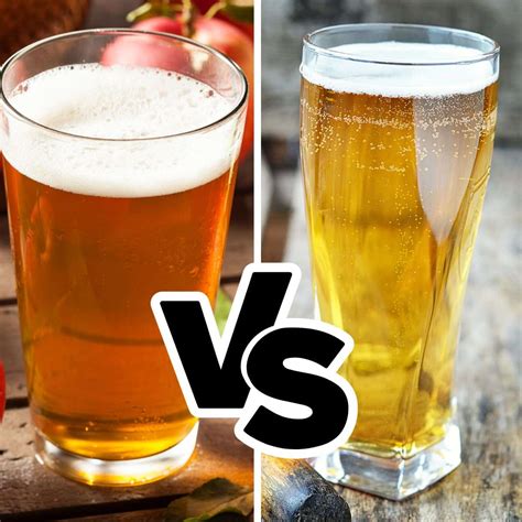 Ale vs Lager: What's the Difference? » Recipefairy.com