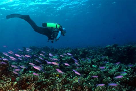 Manihi, diving off the beaten track in the Tuamotu Islands