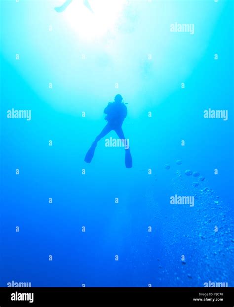 Silhouette of diver with sun disk behind Stock Photo - Alamy