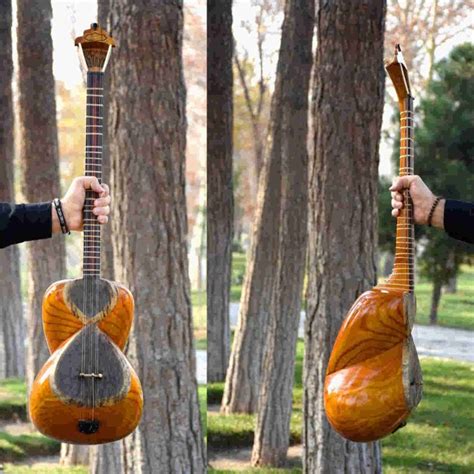 Persian Taar String Instrument Iransaz Model Sepehr - ShopiPersia