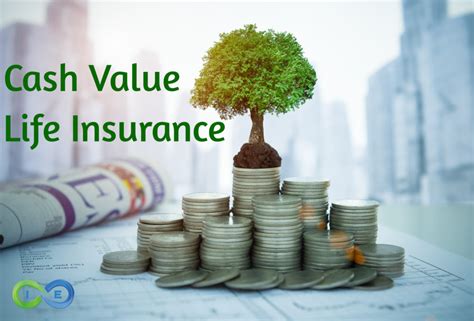 Cash Value Life Insurance (Prioritizing Cash Value Growth vs Death Benefit) – I&E | Whole Life ...