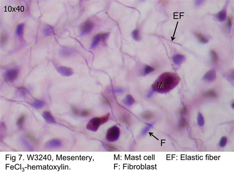 Fecl3 Structure