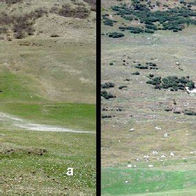 Examples of landslides and sheet erosion on the (a) calcareous and (b ...