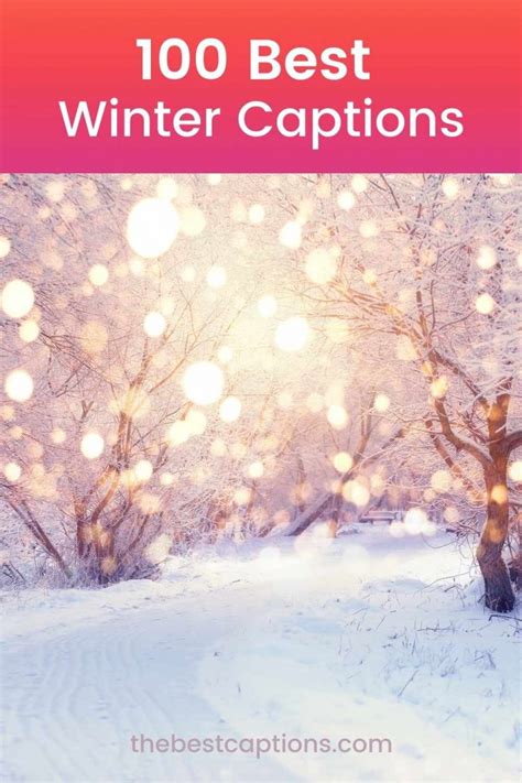 100 Best Winter Captions | The Best Instagram Winter Captions & Quotes