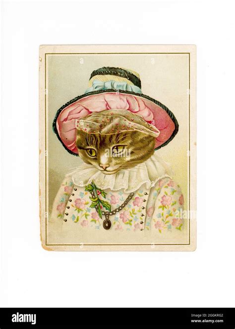 Vintage Cat Illustration Card, USA Stock Photo - Alamy