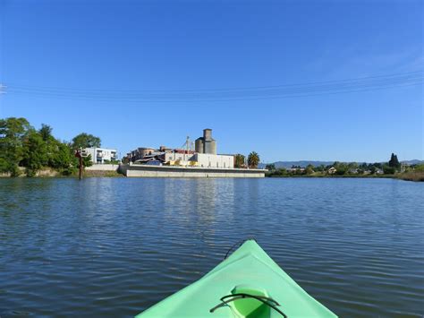 10 Photos to Make you Want to Kayak Napa River - Best of Life Magazine